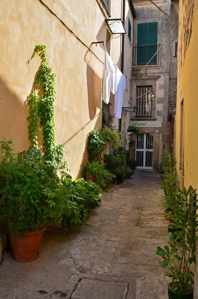 Ložní Prádlo Úzké Zelené Ulici Starém Italském Městě — Stock fotografie