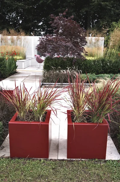 A modern feature in a contemporary garden design with containers of Imperta rubra Cylindrica