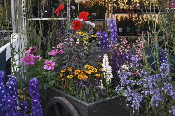 Florists Display Colourful Flowers Ready Sale — Stock Photo, Image