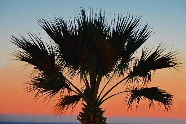 Vreedzame Roze Zonsondergang Door Middel Van Een Palmboom Het Eiland — Stockfoto