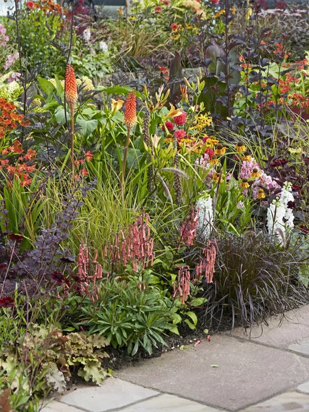 一个有趣的和种植良好的花卉边界与五颜六色的植物协会 — 图库照片