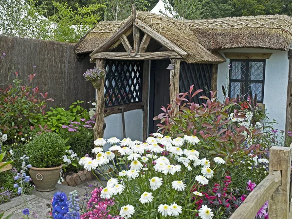 Una Pequeña Casa Campo Jardín Con Flores Plantas Leucantemo Máximo — Foto de Stock