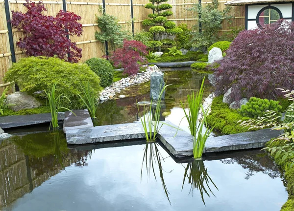 Jardín Acuático Tradicional Japonés Con Plantas Arbustos Rocas Tea House — Foto de Stock