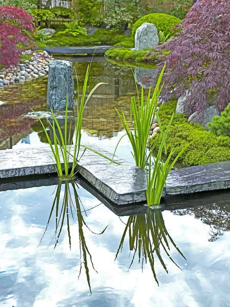 Traditionella Japanska Vatten Trädgård Med Växter Buskar Stenar Och Stenbro — Stockfoto