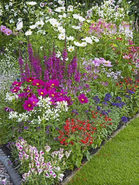 Borde Flores Bien Plantado Color Coordinado Atractivo — Foto de Stock