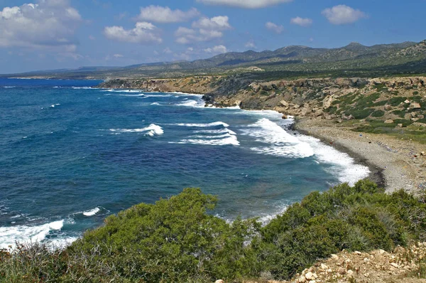 Vahşi Çekici Kıyı Şeridi Akamas Paphos Kıbrıs — Stok fotoğraf