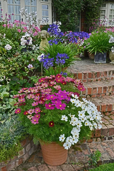 Farbenfrohe Gartenterrasse Mit Gemischten Beeten Und Bepflanzten Containern Vor Einem — Stockfoto