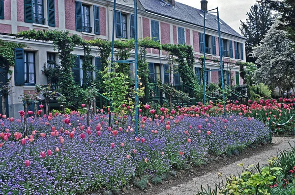 Huset Med Våren Visning Tulpaner Och Förgätmigej Claude Monets Trädgård — Stockfoto