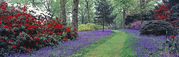 Colorido Passeio Pela Floresta Primavera Jardim Rural Inglês Com Icônicas — Fotografia de Stock