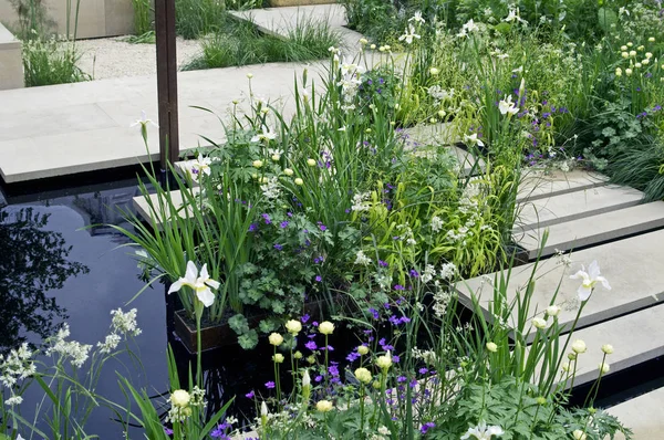 Ruhige Und Friedliche Blumenbepflanzung Mit Wasserspiel Einem Modernen Garten — Stockfoto
