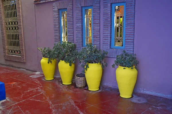 Una Vista Del Antiguo Estudio Jacques Majorelle Ahora Museo Boutique — Foto de Stock