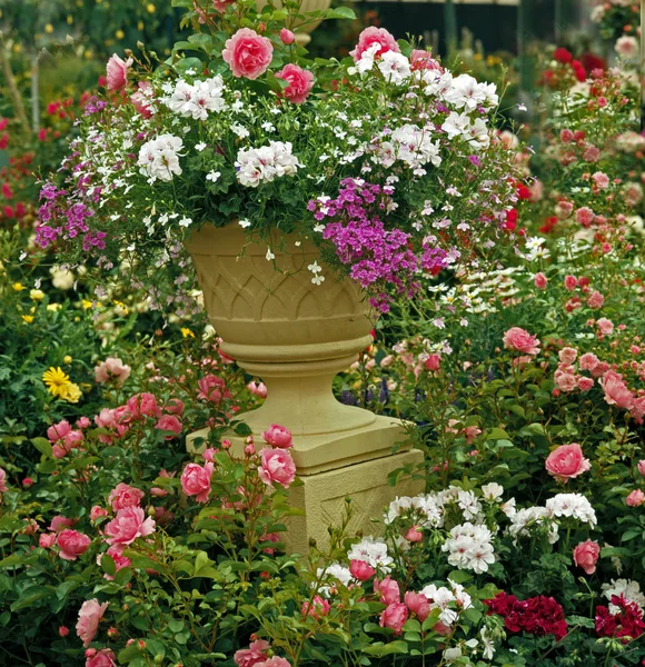 Planted Stone Urn Colourful Flower Arrangement — Stock Photo, Image