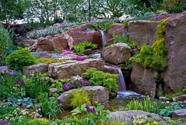 Beautiful Alpine Water Garden with colourful planting clipart