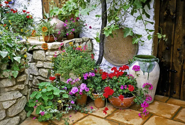 Mediterranean Patio Containers Colourful Plants Flowers — Stock Photo, Image