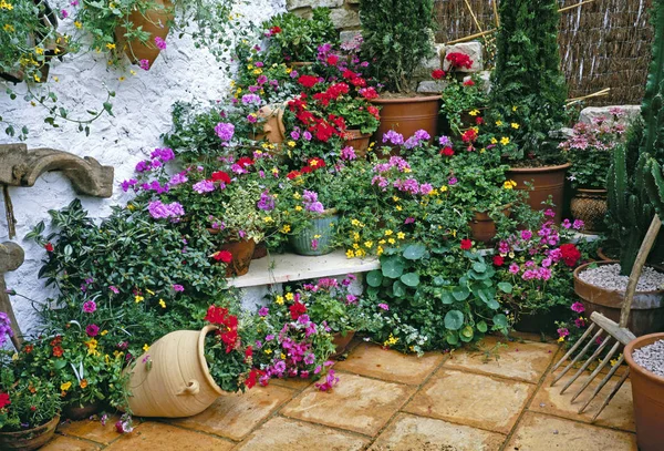 Mediterranean Garden Med Färgglada Plantering Och Sittplatser — Stockfoto