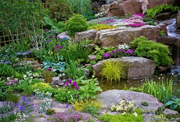 Jardim Água Alpino Bonito Com Plantio Colorido — Fotografia de Stock