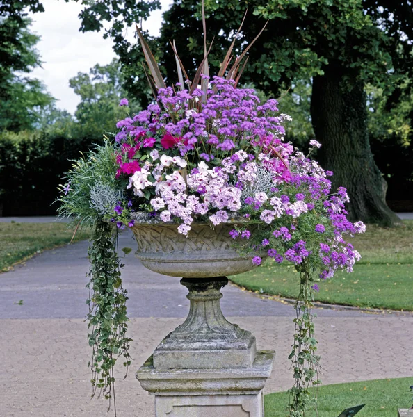 Colourful Flowers Planted Stone Urn Terrace Country Garden — Stock Photo, Image