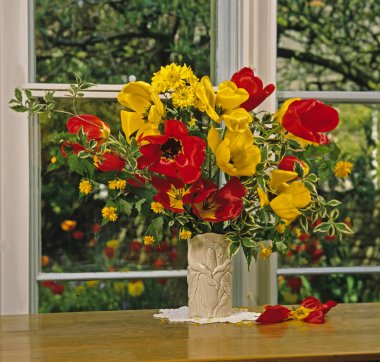Red and yellow tulips in a white vase by a garden window clipart