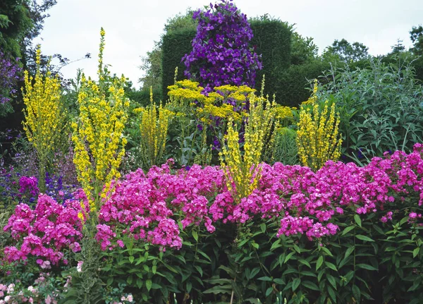 Bordure Fleurs Herbacées Colorées Dans Jardin Campagne — Photo