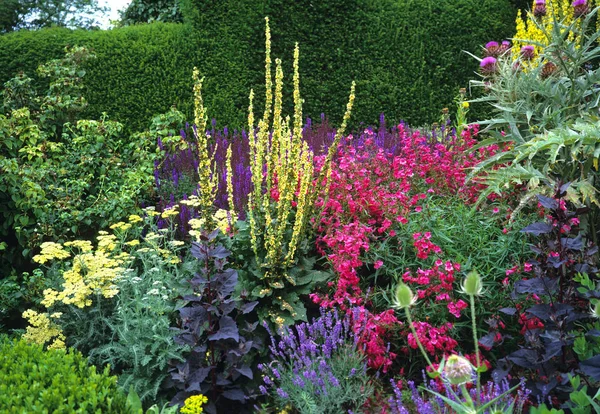 Colourful Herbaceous Flower Border Country Garden — Stock Photo, Image