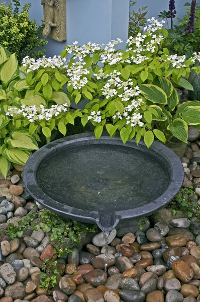 Detalj Liten Trädgård Med Keramik Vatten Funktioner — Stockfoto