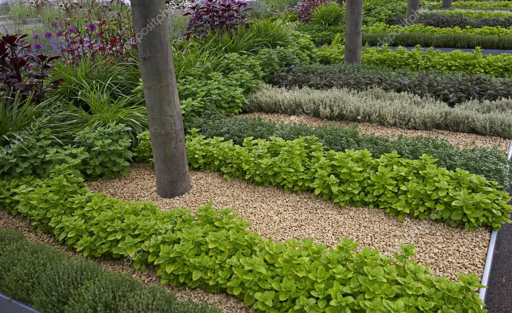 gardenguru