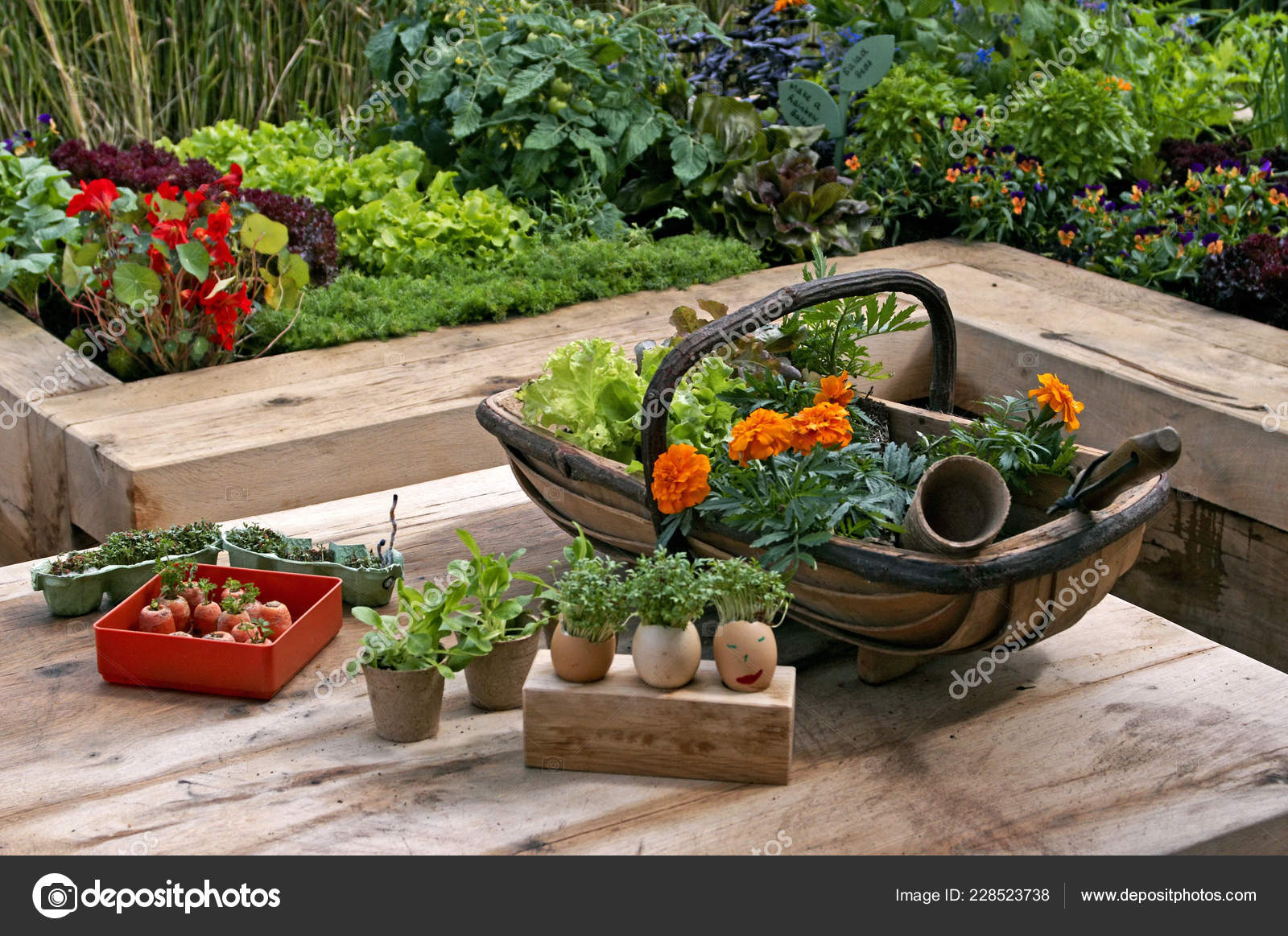 Edible Vegetable Garden Work Bench Designed Children Stock Photo