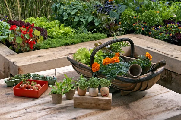 子供のために設計された作業台で食用の野菜の庭 — ストック写真