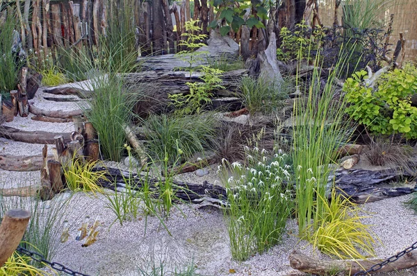 Jardin Balnéaire Relaxant Avec Dichromena Colorata Fleurissant Parmi Les Herbes — Photo