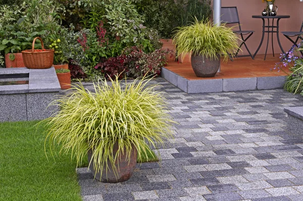 Contenedores Hierbas Carex Patio Diseño Jardín Contemporáneo — Foto de Stock