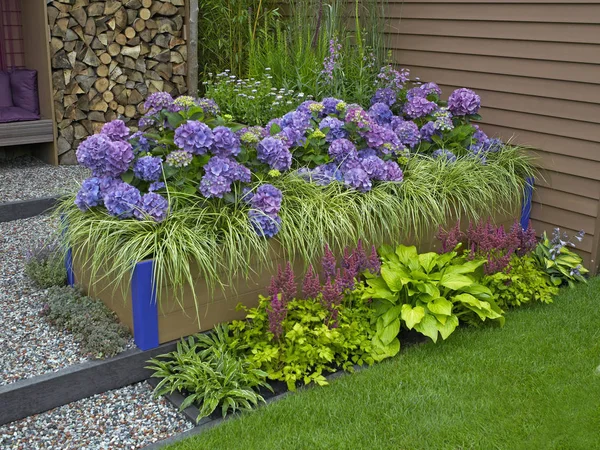 Modern Environmental Garden Designed Cope Extremes Weather Conditions Flooding — Stock Photo, Image