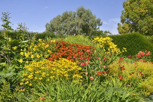 Barevné Zahrádce Room Dobře Osázené Smíšenou Výsadbu Včetně Crocosmia Heleniums — Stock fotografie