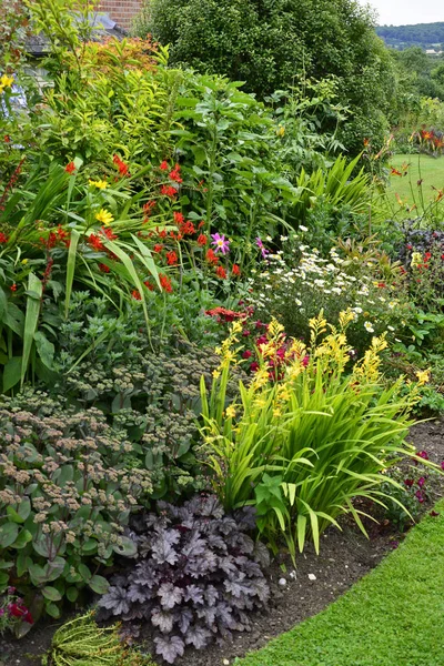 Pestrobarevné Květiny Hranice Zahradě Země Smíšenou Výsadbu Včetně Crocosmia — Stock fotografie