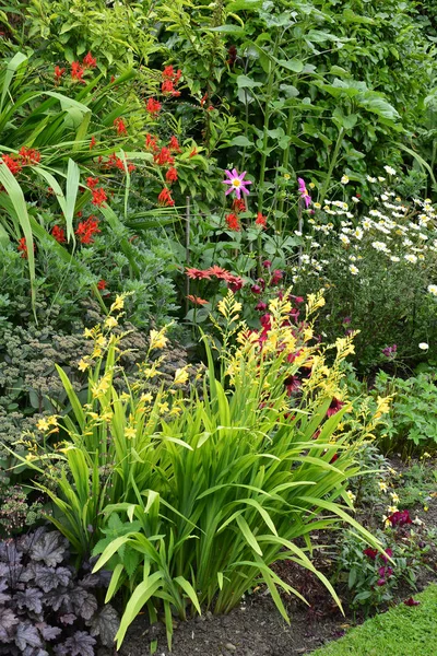 Pestrobarevné Květiny Hranice Zahradě Země Smíšenou Výsadbu Včetně Crocosmia — Stock fotografie