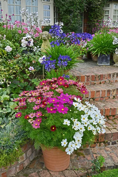 Farbenfrohe Gartenterrasse Mit Gemischten Beeten Und Bepflanzten Containern Vor Einem — Stockfoto