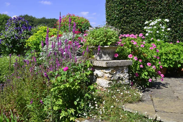 Teras Berwarna Warni Dengan Pelargoniums Lythrums Dan Clematis — Stok Foto