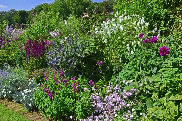 Kleurrijke Bloem Grens Met Gemengde Beplanting — Stockfoto