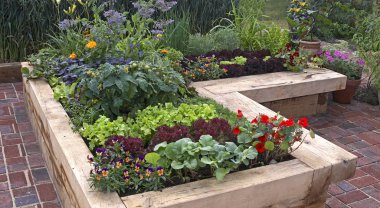 A modern well planned vegetable garden with raised beds and assorted vegetables clipart