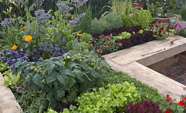 A modern well planned vegetable garden with raised beds and assorted vegetables