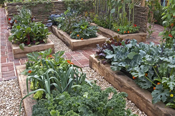 Moderní Dobře Plánované Zeleninová Zahrada Vyvýšené Postele Míchaná Zelenina — Stock fotografie