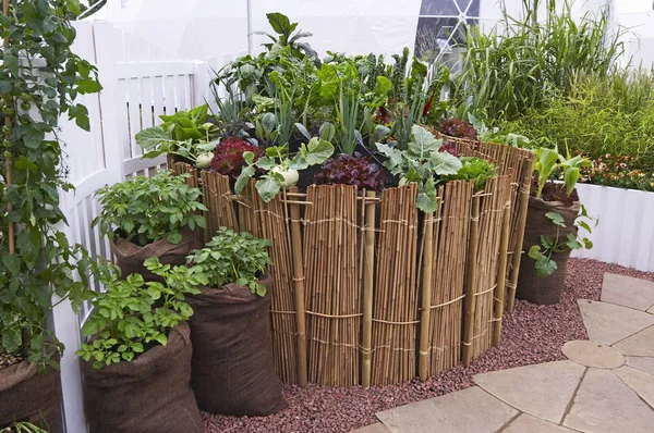 Unusal Λαχανικών Εμπορευματοκιβώτια Έναν Αστικό Κήπο Φτιαγμένο Από Καλάμια Μπαμπού — Φωτογραφία Αρχείου