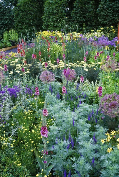 Organická Zahrada Barevnými Zajímavou Výsadbou — Stock fotografie