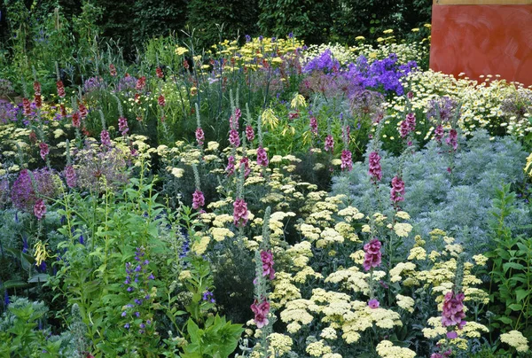 Giardino Biologico Con Piantagione Colorata Interessante — Foto Stock