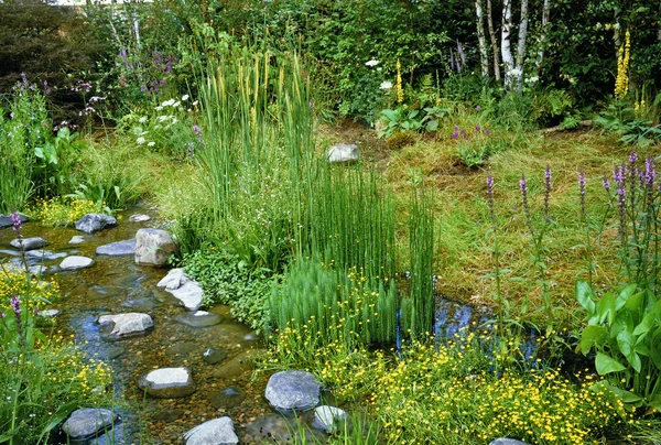 Jardim Água Com Plantio Natural — Fotografia de Stock