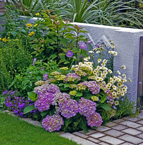 Mixed Border in an urban garden with colourful hydrangeas