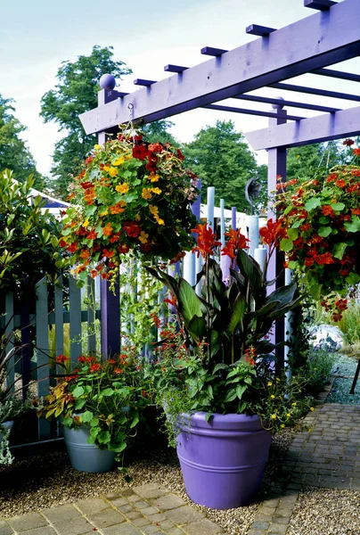 Patio Containers Hanging Baskets — Stock Photo, Image