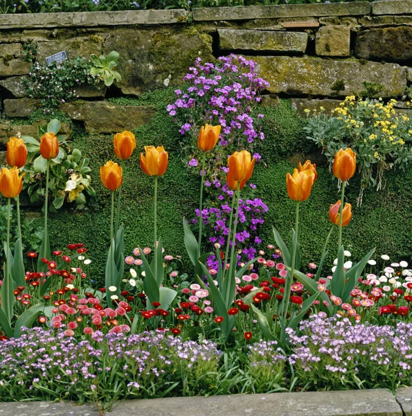 Bunte Frühlingsblumenkranz Mit Tulpen — Stockfoto