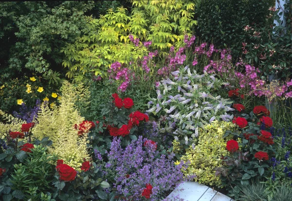 Plantación Natural Flores Colores Alrededor Asiento Jardín Rústico — Foto de Stock
