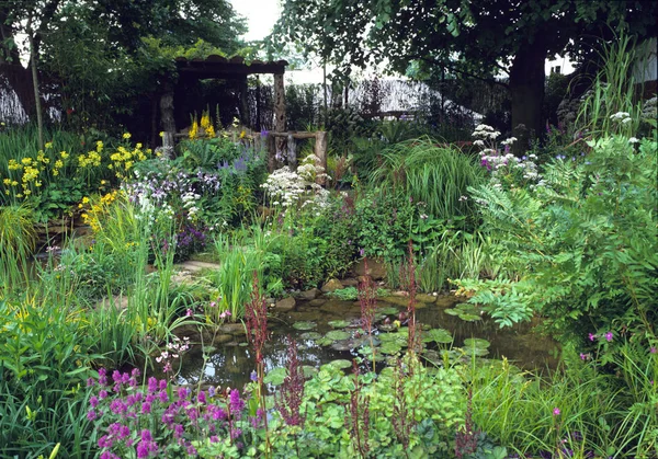 Show Garden Pond Mixe — Stock Photo, Image