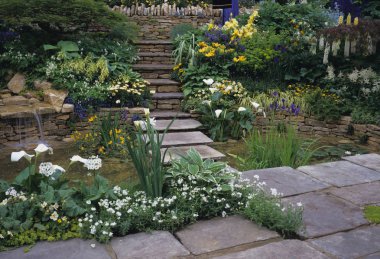 Flagstone steps over pool with mixed herbaceous planting  clipart